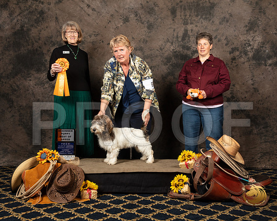 #68 Thurs BOB Puppy Terry Dennison Judge Nancy SimmonsSSR_5208-PBGVKrvlTX2019-HR3
