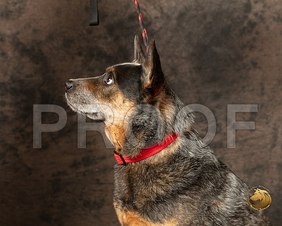 Mari Bailey AutrySSR_5287-PBGVKrvlTX2019-HR3