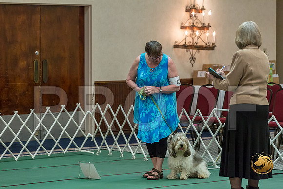 Obed BegNovB #82 Sharon Betker Reg Judge Nancy SimmonsJJJ_7535-PBGVKrvlTX2019-HR3