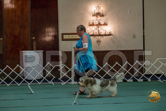Obed BegNovB #82 Sharon Betker Reg Judge Nancy SimmonsJJJ_7548-PBGVKrvlTX2019-HR3