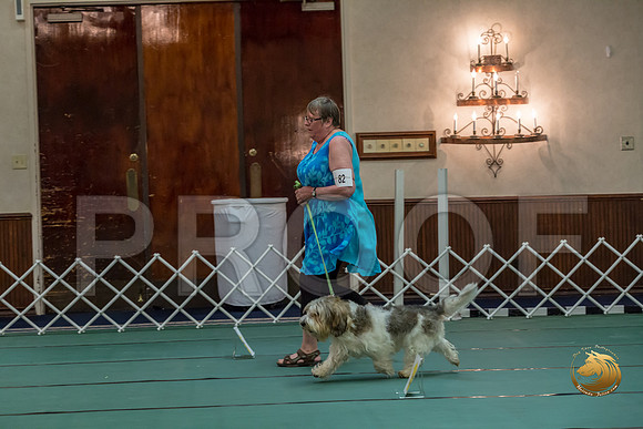 Obed BegNovB #82 Sharon Betker Reg Judge Nancy SimmonsJJJ_7549-PBGVKrvlTX2019-HR3