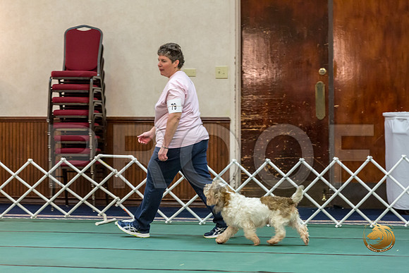 Obed GradNov #79 Lora Megli Reg Judge Nancy SimmonsJJJ_7171-PBGVKrvlTX2019-HR3