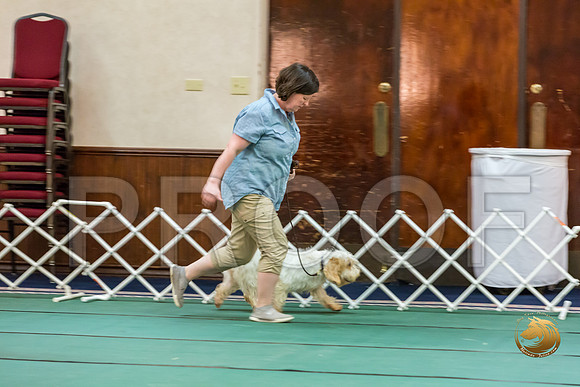 Obed NovB #77 Megan Esherick Reg Judge Nancy SimmonsJJJ_7303-PBGVKrvlTX2019-HR3