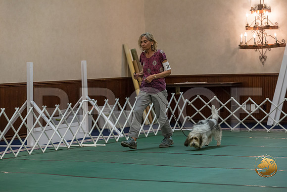 Obed NovB #78 Juliet Franzen Reg Judge Nancy SimmonsJJJ_7388-PBGVKrvlTX2019-HR3