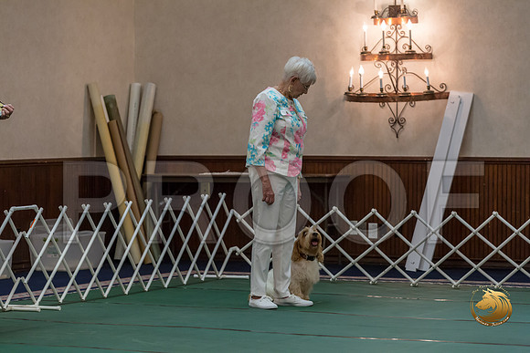 Obed OpenB #80 Minta Williquette Reg Judge Nancy SimmonsJJJ_7132-PBGVKrvlTX2019-HR3