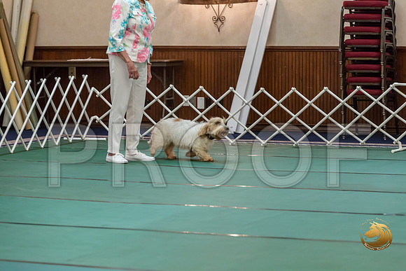 Obed OpenB #80 Minta Williquette Reg Judge Nancy SimmonsJJJ_7133-PBGVKrvlTX2019-HR3