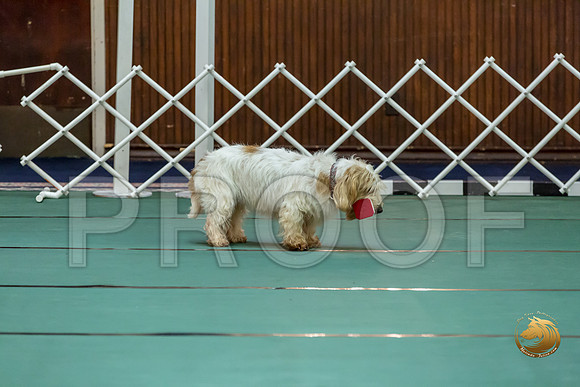 Obed OpenB #80 Minta Williquette Reg Judge Nancy SimmonsJJJ_7139-PBGVKrvlTX2019-HR3