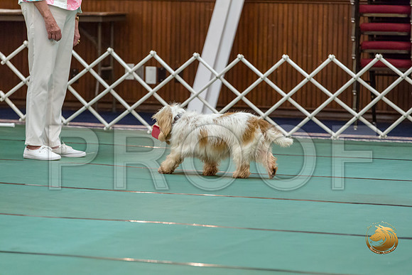 Obed OpenB #80 Minta Williquette Reg Judge Nancy SimmonsJJJ_7143-PBGVKrvlTX2019-HR3
