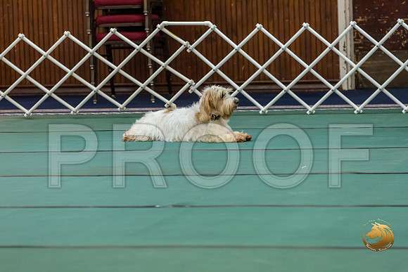 Obed OpenB #80 Minta Williquette Reg Judge Nancy SimmonsJJJ_7152-PBGVKrvlTX2019-HR3