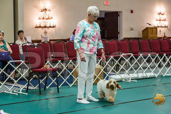 Obed UTB #80 Minta Williquette Reg Judge Nancy SimmonsJJJ_7020-PBGVKrvlTX2019-HR3