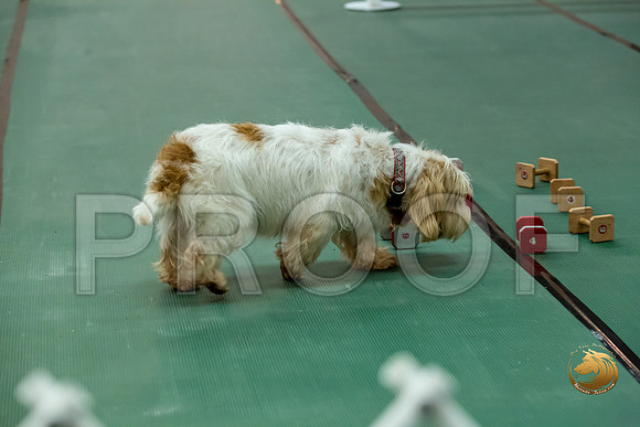 Obed UTB #80 Minta Williquette Reg Judge Nancy SimmonsJJJ_7021-PBGVKrvlTX2019-HR3