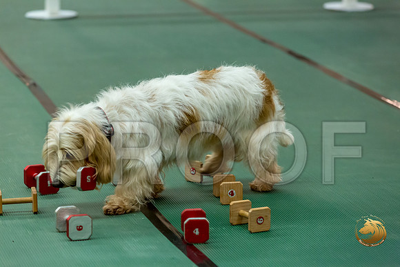 Obed UTB #80 Minta Williquette Reg Judge Nancy SimmonsJJJ_7027-PBGVKrvlTX2019-HR3