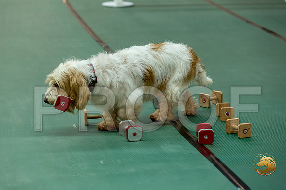 Obed UTB #80 Minta Williquette Reg Judge Nancy SimmonsJJJ_7028-PBGVKrvlTX2019-HR3