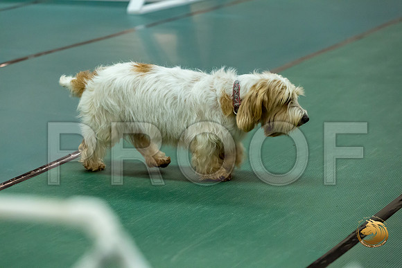 Obed UTB #80 Minta Williquette Reg Judge Nancy SimmonsJJJ_7036-PBGVKrvlTX2019-HR3
