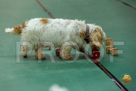 Obed UTB #80 Minta Williquette Reg Judge Nancy SimmonsJJJ_7037-PBGVKrvlTX2019-HR3