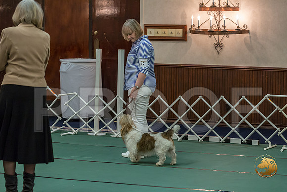 Obed Vet #75 Marcia McGinnis Reg Judge Nancy SimmonsJJJ_7672-PBGVKrvlTX2019-HR3