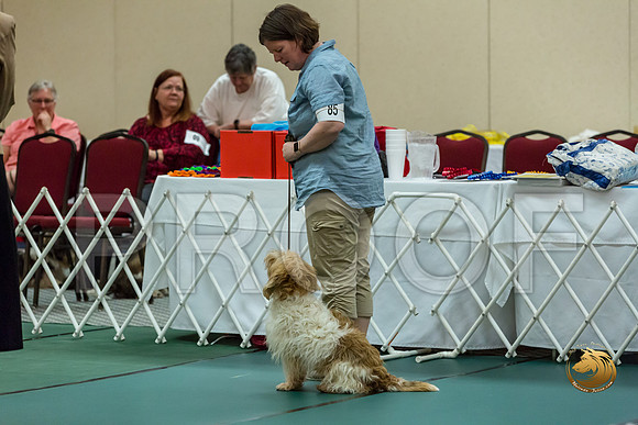 Obed Vet #85 Megan Esherick Reg Judge Nancy SimmonsJJJ_7782-PBGVKrvlTX2019-HR3