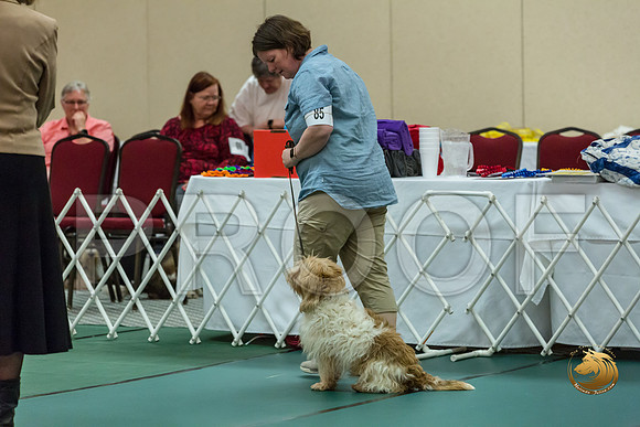 Obed Vet #85 Megan Esherick Reg Judge Nancy SimmonsJJJ_7783-PBGVKrvlTX2019-HR3