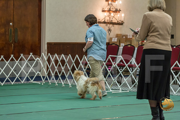 Obed Vet #85 Megan Esherick Reg Judge Nancy SimmonsJJJ_7786-PBGVKrvlTX2019-HR3