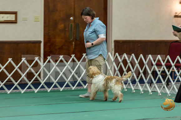 Obed Vet #85 Megan Esherick Reg Judge Nancy SimmonsJJJ_7787-PBGVKrvlTX2019-HR3