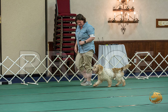 Obed Vet #85 Megan Esherick Reg Judge Nancy SimmonsJJJ_7791-PBGVKrvlTX2019-HR3