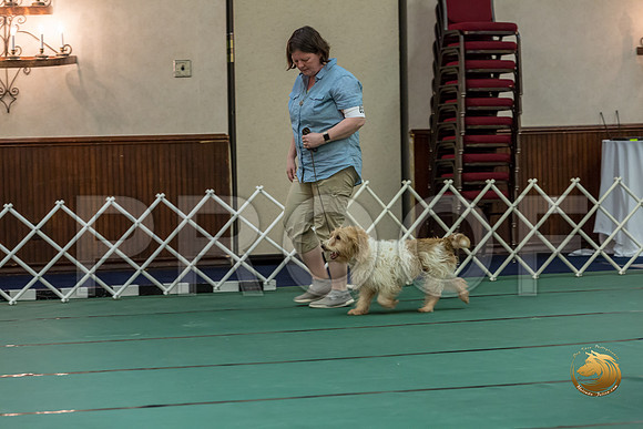 Obed Vet #85 Megan Esherick Reg Judge Nancy SimmonsJJJ_7793-PBGVKrvlTX2019-HR3