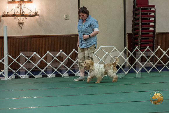 Obed Vet #85 Megan Esherick Reg Judge Nancy SimmonsJJJ_7794-PBGVKrvlTX2019-HR3