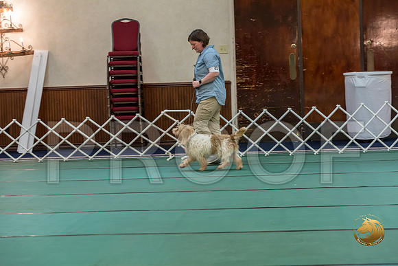 Obed Vet #85 Megan Esherick Reg Judge Nancy SimmonsJJJ_7799-PBGVKrvlTX2019-HR3