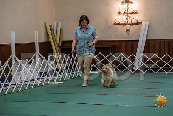 Obed Vet #85 Megan Esherick Reg Judge Nancy SimmonsJJJ_7801-PBGVKrvlTX2019-HR3