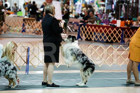 _JN_7333-ASCACollegeStationNov2014-HR3