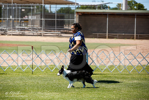 _JN_9029-AlamogordoOct2014-HR3