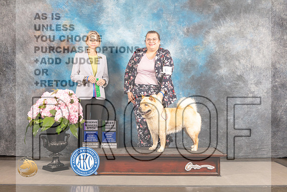 Chow Chow #8 SAT RW BBE BOB Judge Patricia Sosa_MJ_6816_Houston_2022_HR3