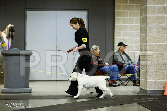 _RH_1237-BeltonJan2015IABCA-HR3