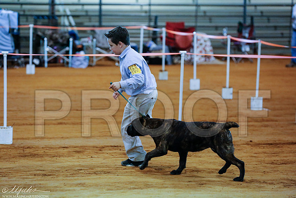 _RH_2195-MarshDec2014-HR