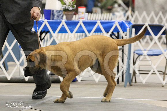 IMG_8277-Abilene2011-HR3