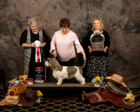 #14 Sat BOS Vickie Willman Nat Judge Carol Doerge