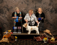 #18 Sat 9 to 12 1st Tammy Hensley Nat Judge Carol Doerge