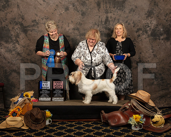 #18 Sat 9 to 12 1st Tammy Hensley Nat Judge Carol DoergeSSR_5576-PBGVKrvlTx2019-HR3
