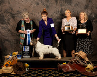 #25 Sat BOW Patricia Whitlock Nat Judge Carol Doerge