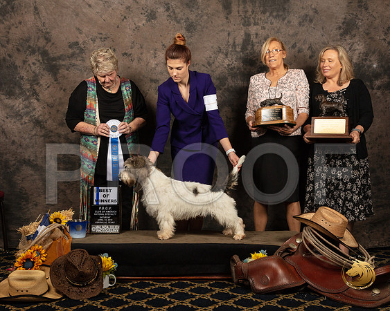 #25 Sat BOW Patricia Whitlock Nat Judge Carol DoergeSSR_5588-PBGVKrvlTx2019-HR3