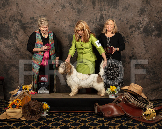 #57 Sat OHBest Cindy Wilt Nat Judge Carol DoergeSSR_5557-PBGVKrvlTx2019-HR3