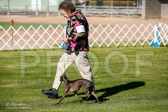 _JJ_4253-AlamogordoOct2014-HR3