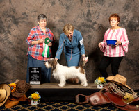 #54 Sat BISweeps Beverly Childs Nat Judge Jo Quintenz