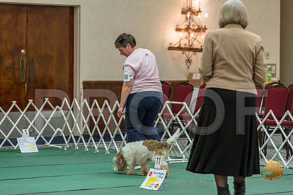 Rally AdvB #100 Lora Megli Reg Judge Nancy SimmonsJJJ_8363-PBGVKrvlTX2019-HR3