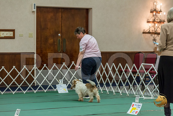 Rally AdvB #100 Lora Megli Reg Judge Nancy SimmonsJJJ_8365-PBGVKrvlTX2019-HR3