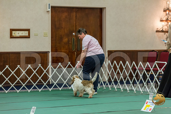 Rally AdvB #100 Lora Megli Reg Judge Nancy SimmonsJJJ_8366-PBGVKrvlTX2019-HR3