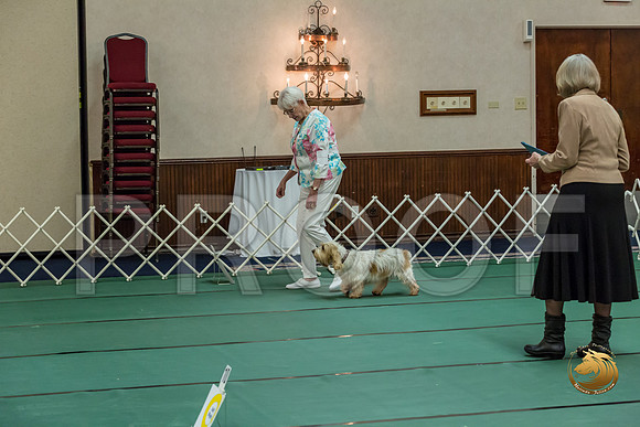 Rally AdvB #93 Minta Williquette Reg Judge Nancy SimmonsJJJ_8260-PBGVKrvlTX2019-HR3