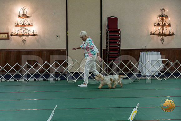 Rally AdvB #93 Minta Williquette Reg Judge Nancy SimmonsJJJ_8267-PBGVKrvlTX2019-HR3