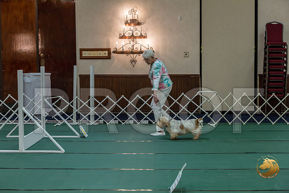 Rally AdvB #93 Minta Williquette Reg Judge Nancy SimmonsJJJ_8269-PBGVKrvlTX2019-HR3