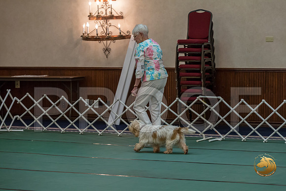 Rally AdvB #93 Minta Williquette Reg Judge Nancy SimmonsJJJ_8272-PBGVKrvlTX2019-HR3
